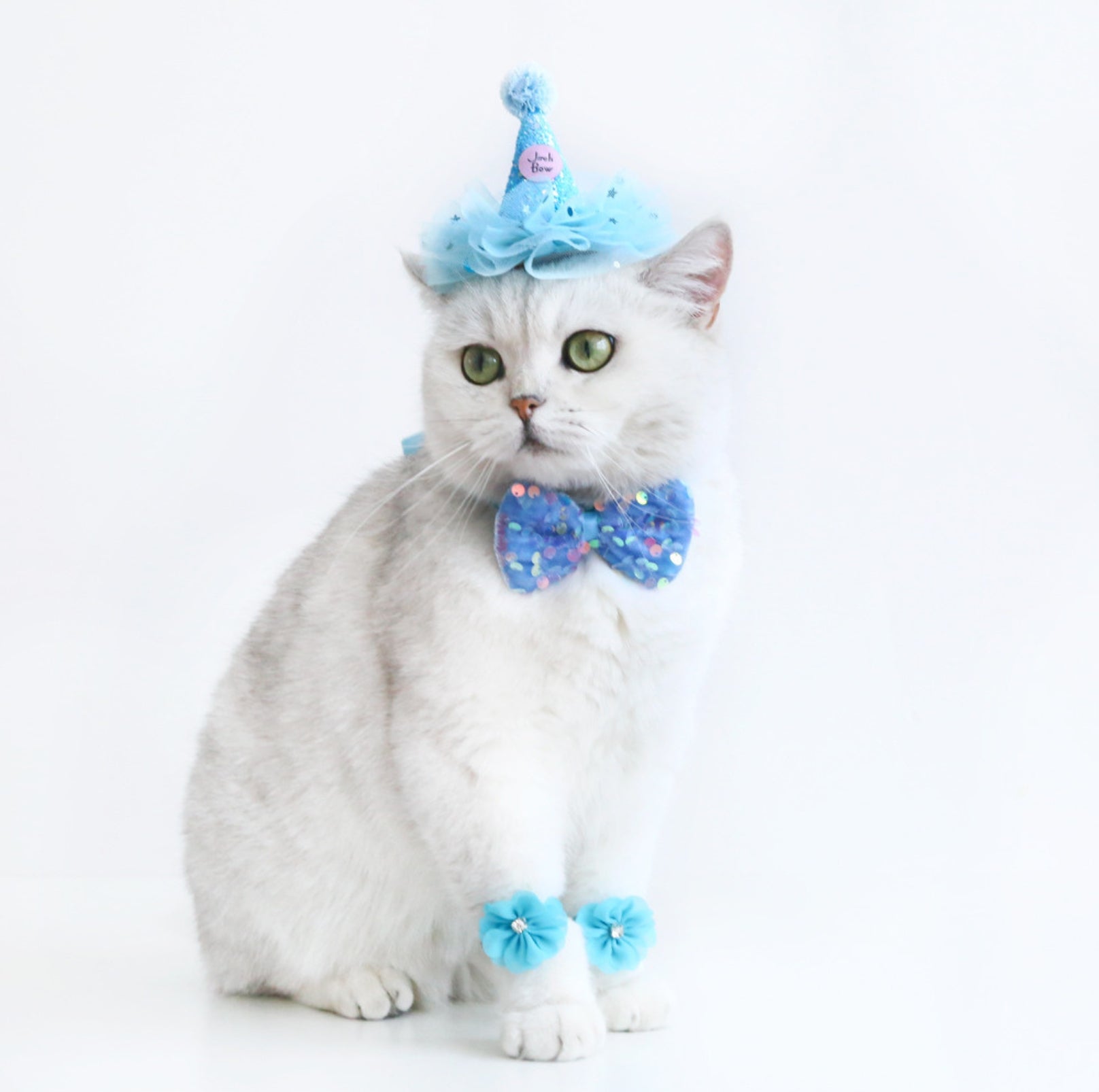 Lace & Glitter Pet Birthday Celebration Kit - Hat. Bowtie & Paw-Rings