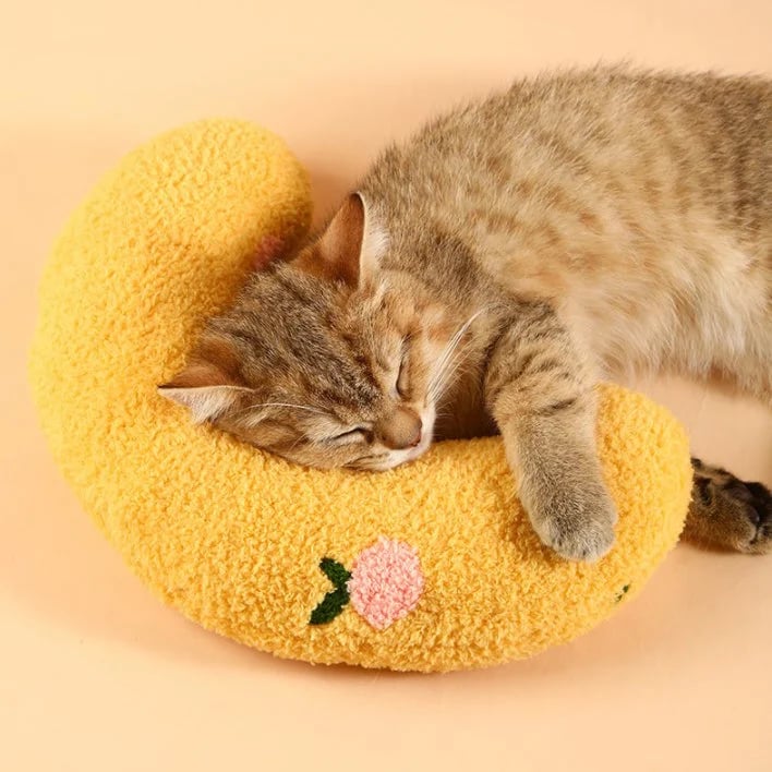 (LAST DAY SALE - 49% OFF) Cat Lovely Cozy Pillow   BUY 3 GET 3 FREE & FREE SHIPPING