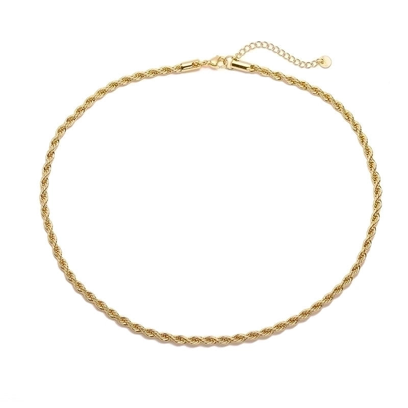 Stainless Steel IG Style Minimalist Plating Solid Color Necklace