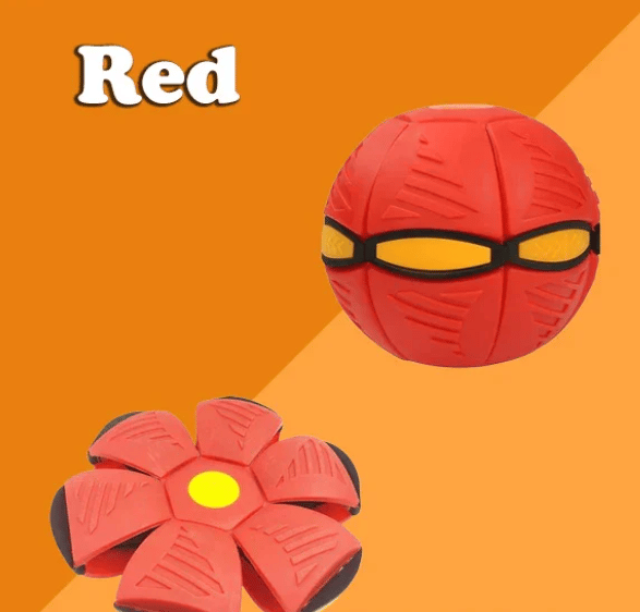 🔥LAST DAY 49% OFF🔥💥The Doggy Disc Ball💞