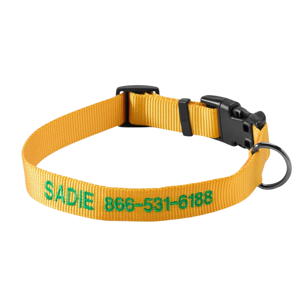 Personalized Side Release Buckle Collar