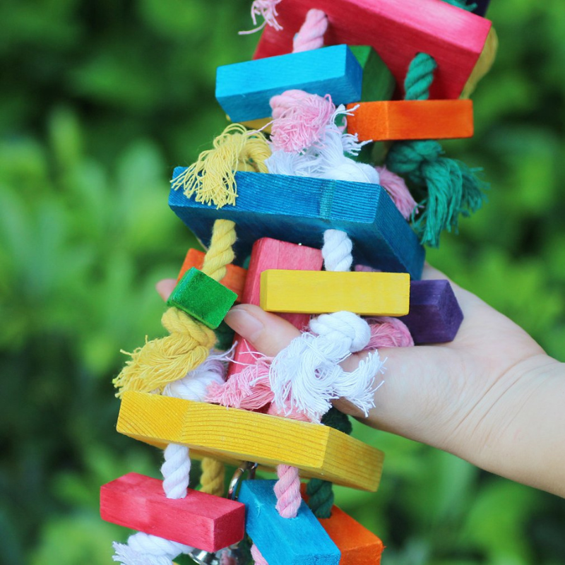 Hanging Chewing Swing Bird Toy