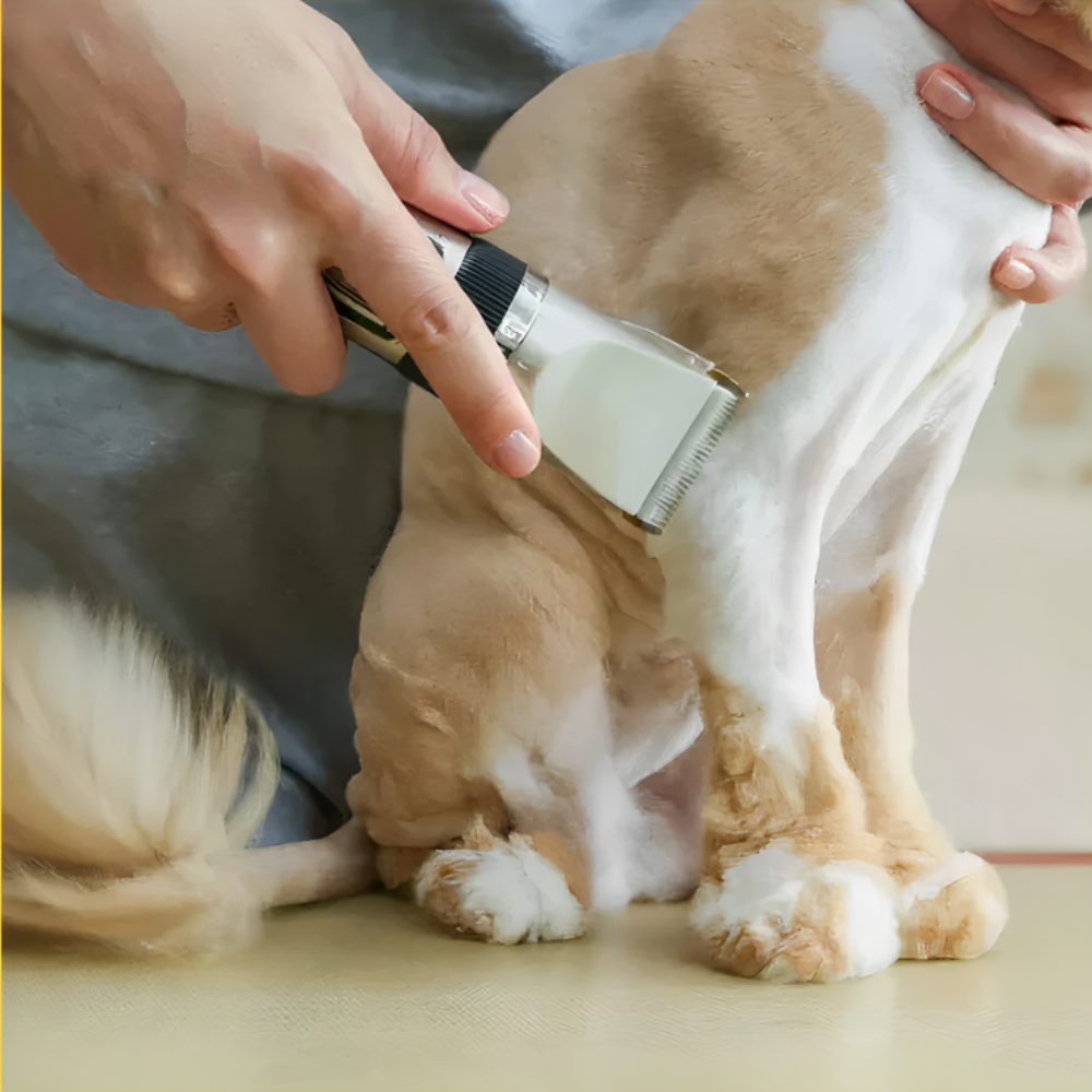 Cordless Pet Grooming Kit
