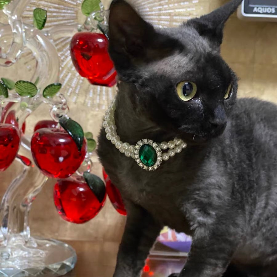 Rhinestone Jeweled Pet Necklace