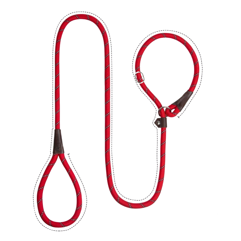 Sturdy Slip Training Leash