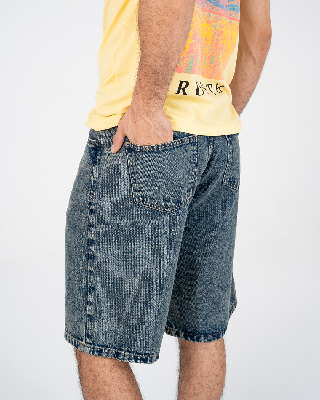 Denim Shorts Regular Fit