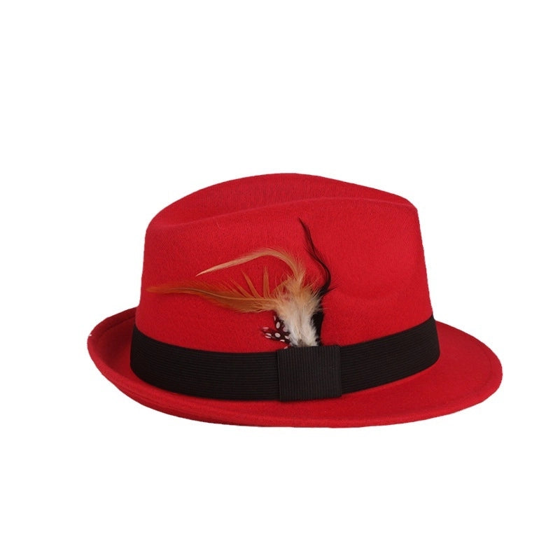 Spring And Autumn New Hat  Casual Ostrich Fur  Retro Feather Jazz Hat Women's Woolen Basin Hat
