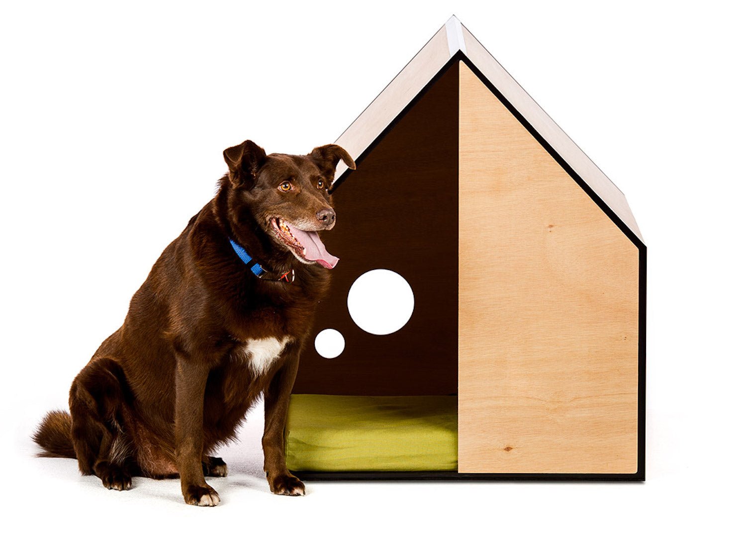 The Dog Room in Large
