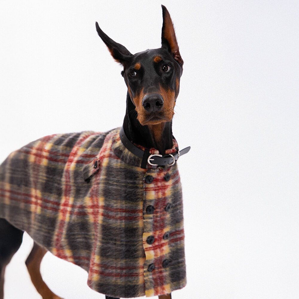 Vintage Plaid Wool With Refined Leather Collar & Button Dog Cape