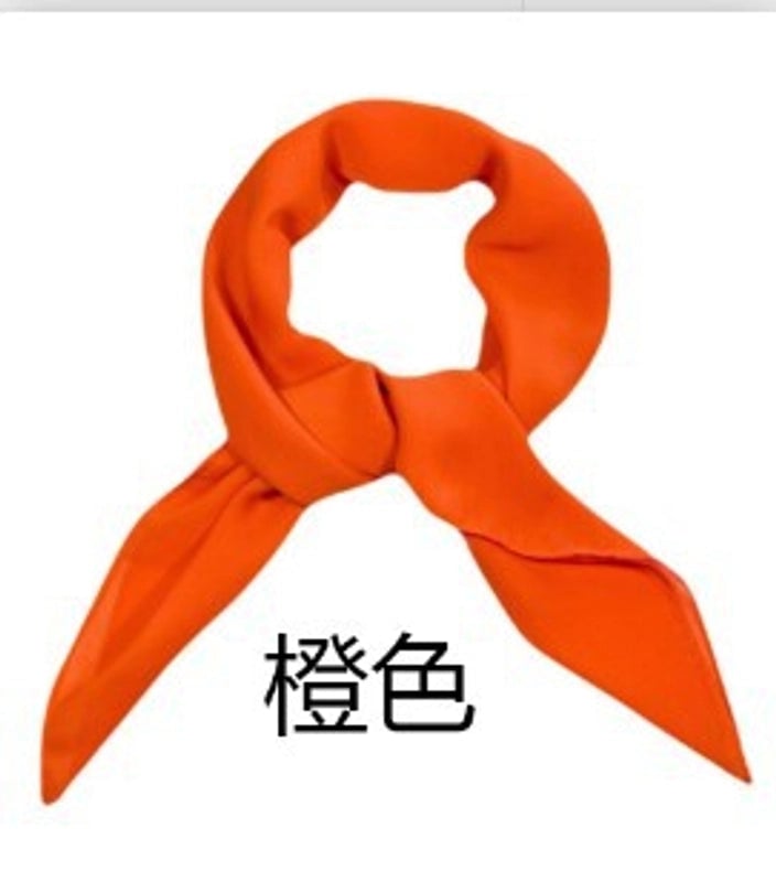 Women's Minimalist Classic Style Solid Color Chiffon Silk Scarf