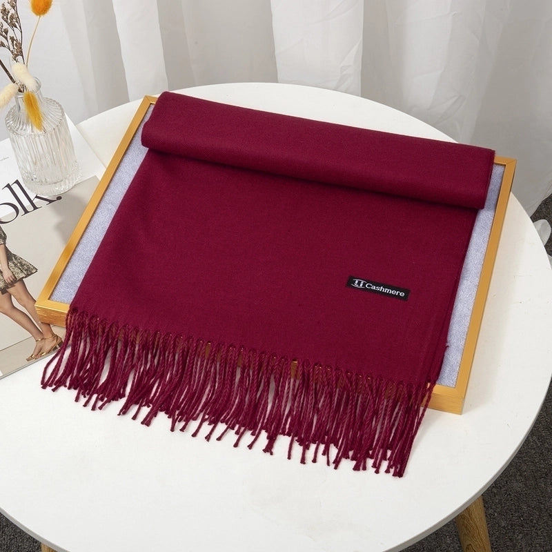 Women's Minimalist Solid Color Imitation Cashmere Tassel Scarf