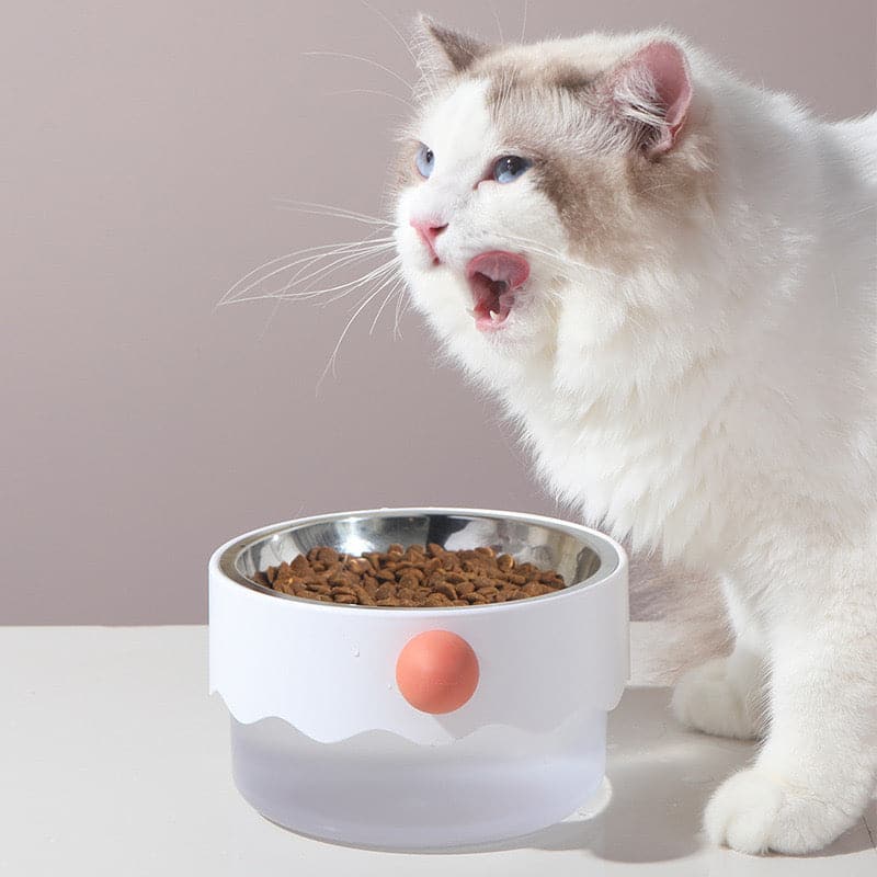 Clown Bowl｜Dog Bowls & Cat Bowls