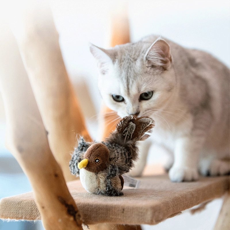 Cat Toys Dazzling Prey Series Sound Toys Touch Induction Cricket Bird Hedgehog Parrot