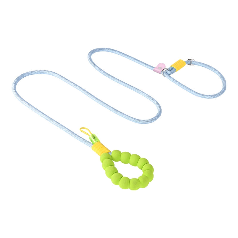 Minimalist Nylon Color Block Leash