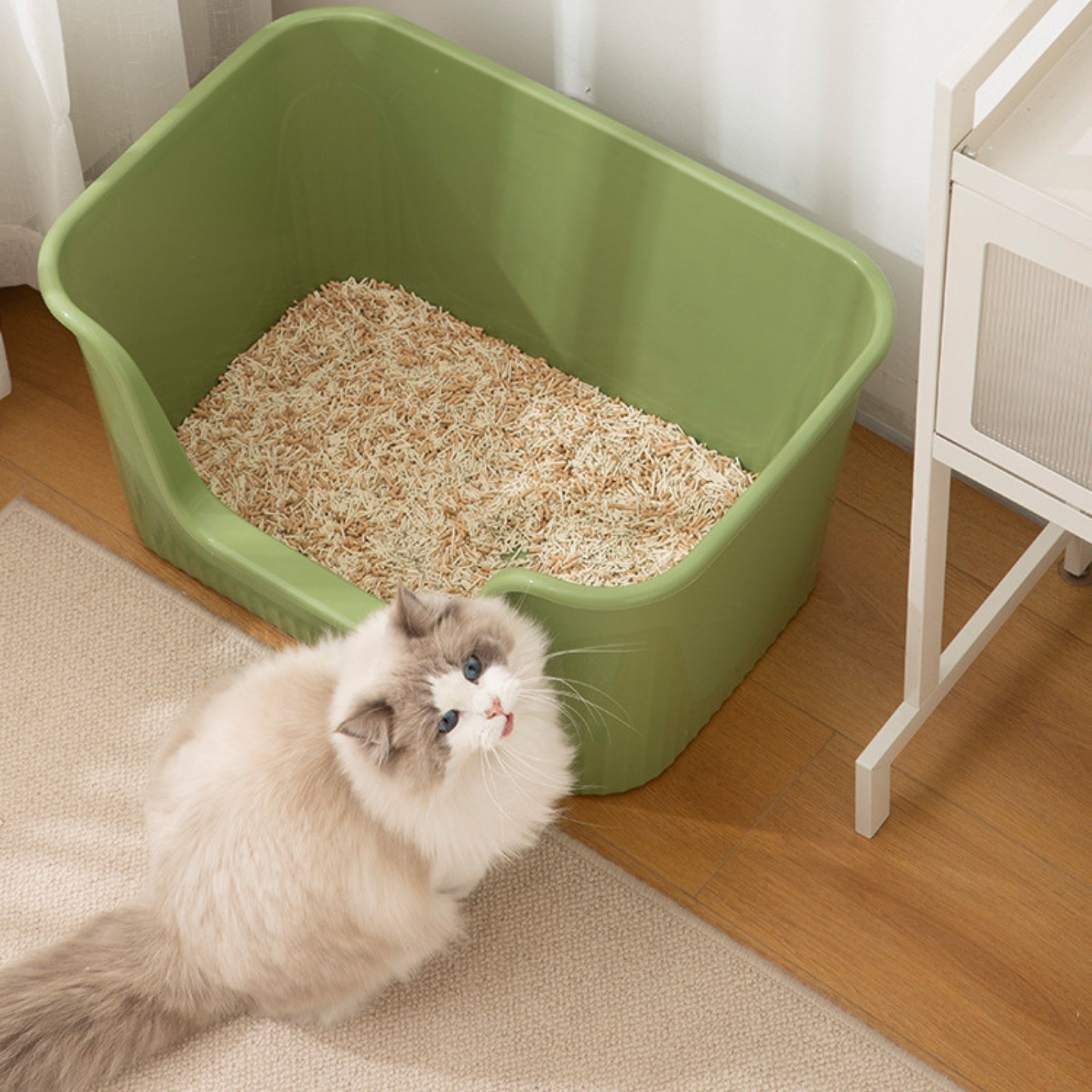 Extra-Large Open Splash-Proof Cat Litter Box