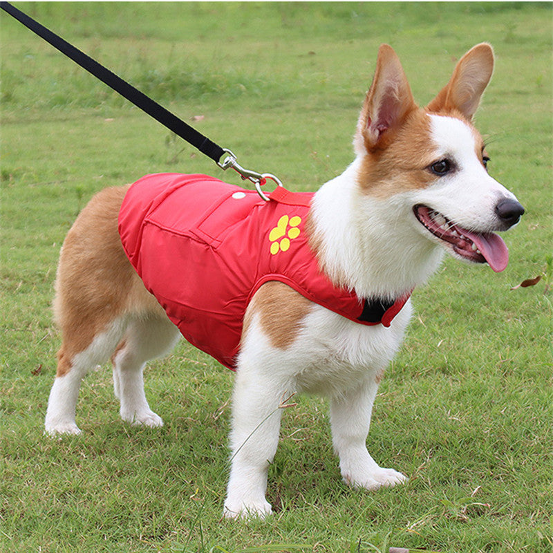 Warm Dog Clothes