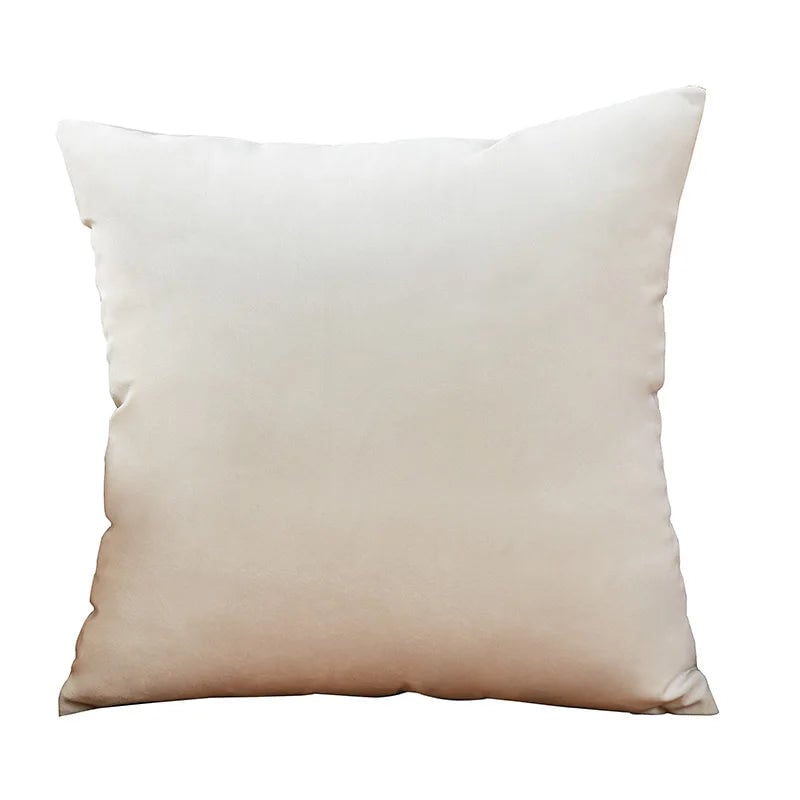 Velvet Pillow Covers