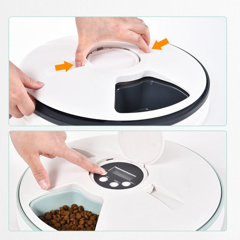 Smart Timing Dog Food Feeder