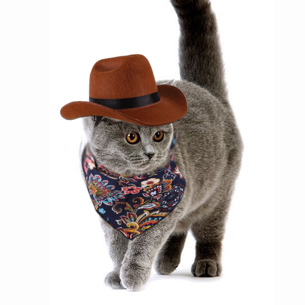 Cat Cosplay Costumes