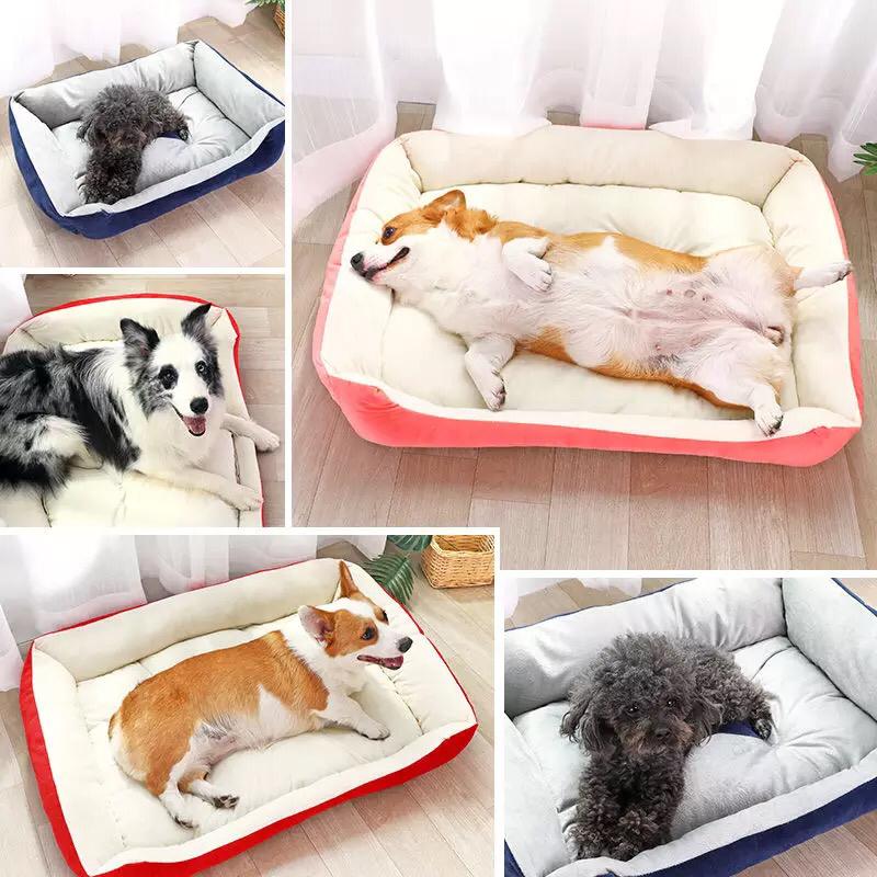 Comfy paw pet bed - XL - For cats & Small breed dogs_