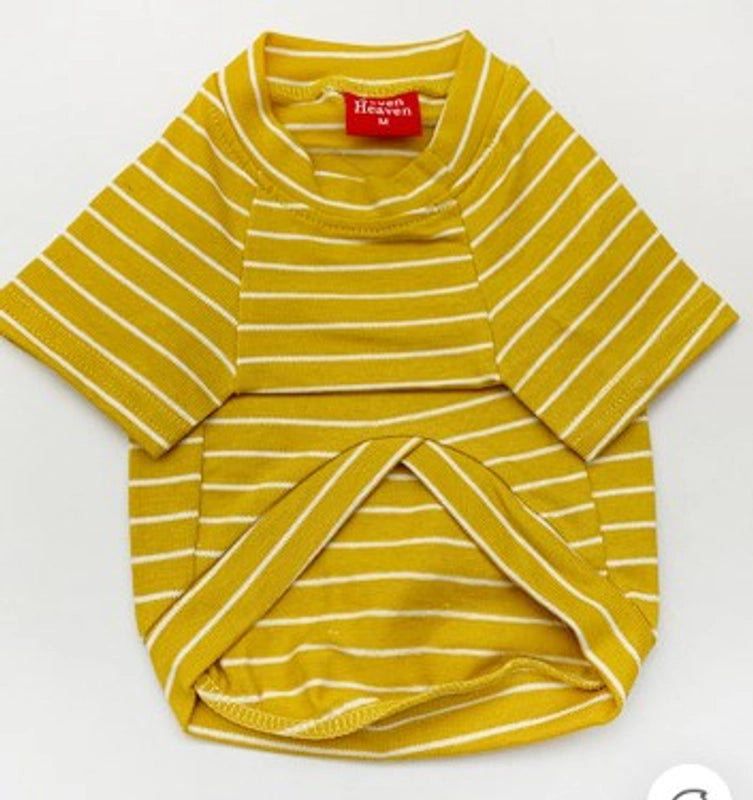 Summer Simple Color Block Striped Pet Cotton Shirt