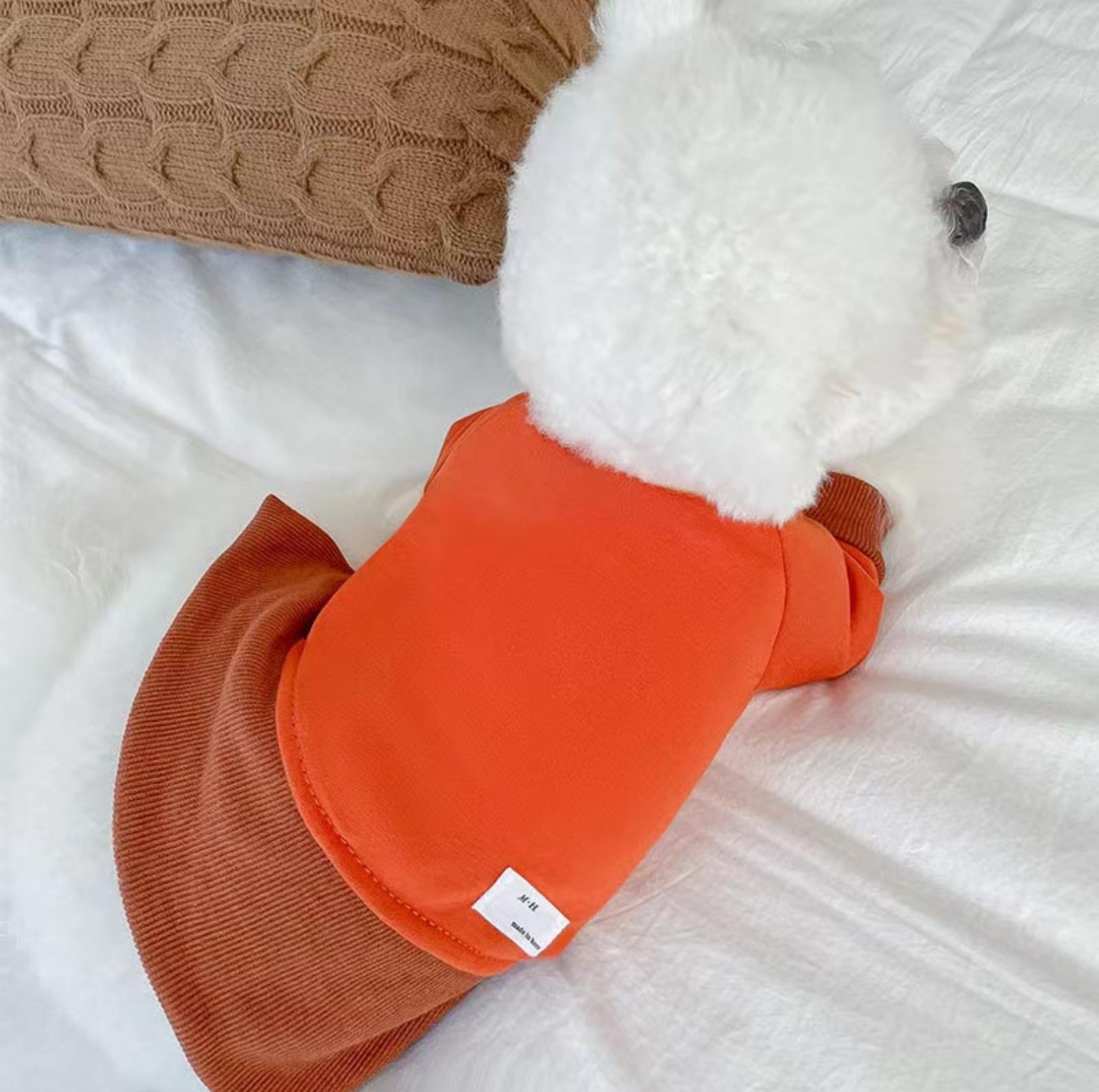 Versatile Colour Blocking Pet Sweatshirt