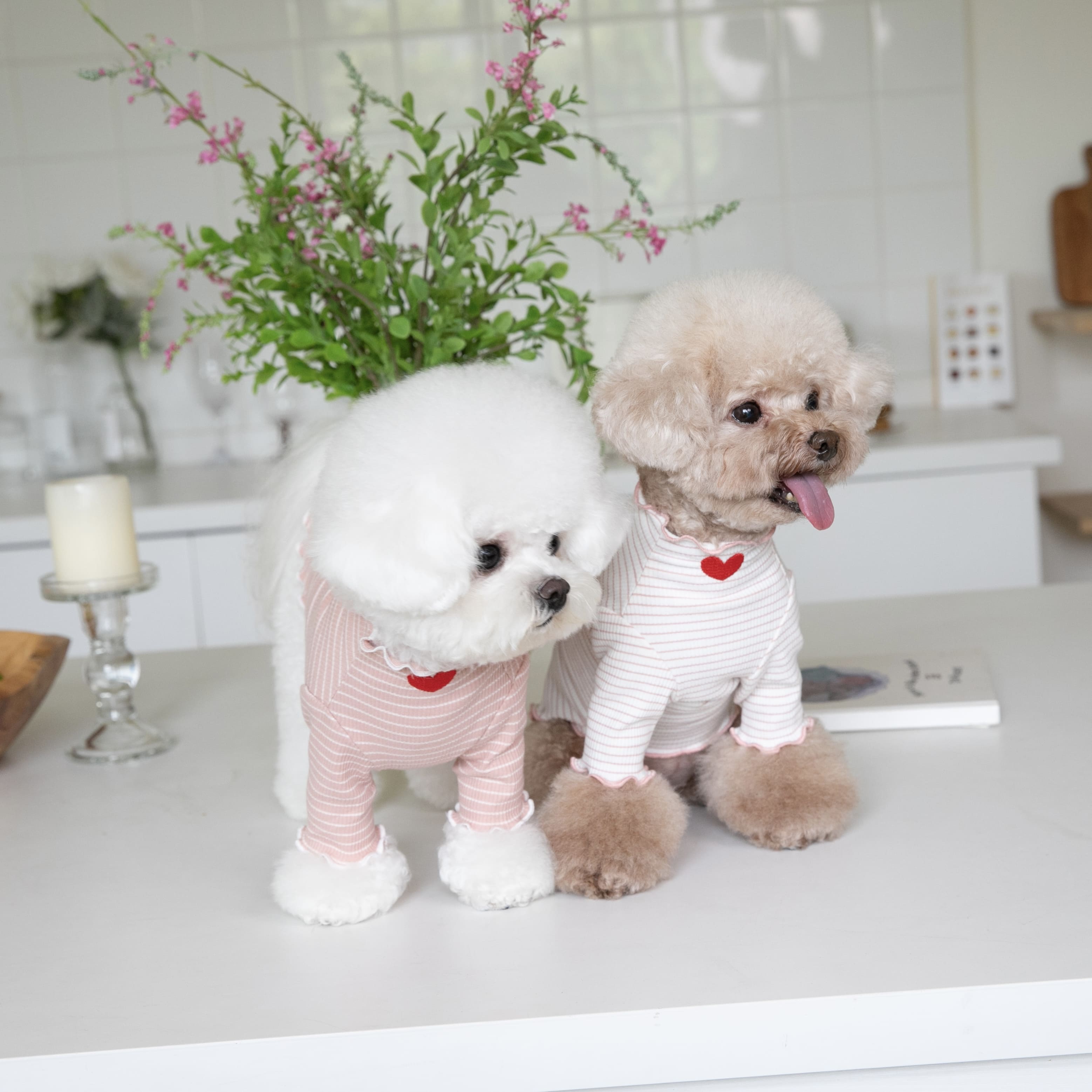 Heart Ruffled Striped Dog Cat Sweatshirt
