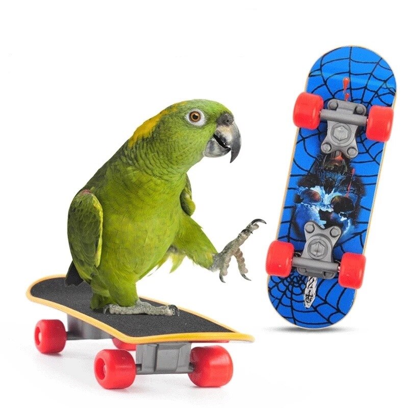 Bird Parrot Activity Toys