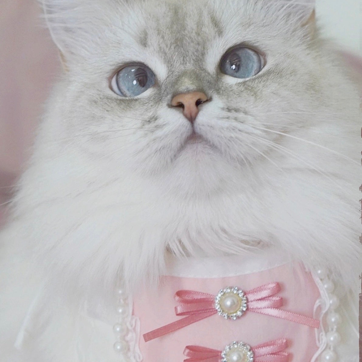 Pink Bow Dog Cat Bandana Bibs