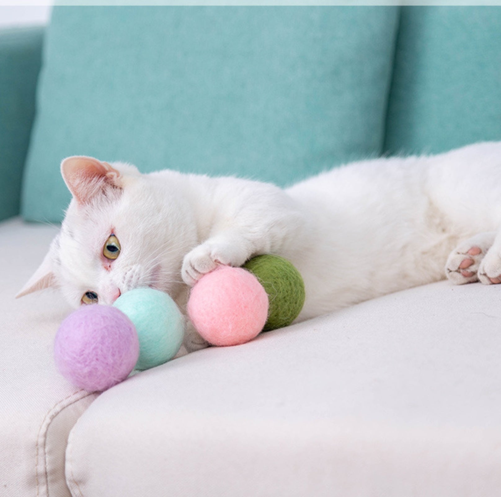 Colourful Woolen Cat/Dog Toy Ball Set (6pcs/comes with random colour)