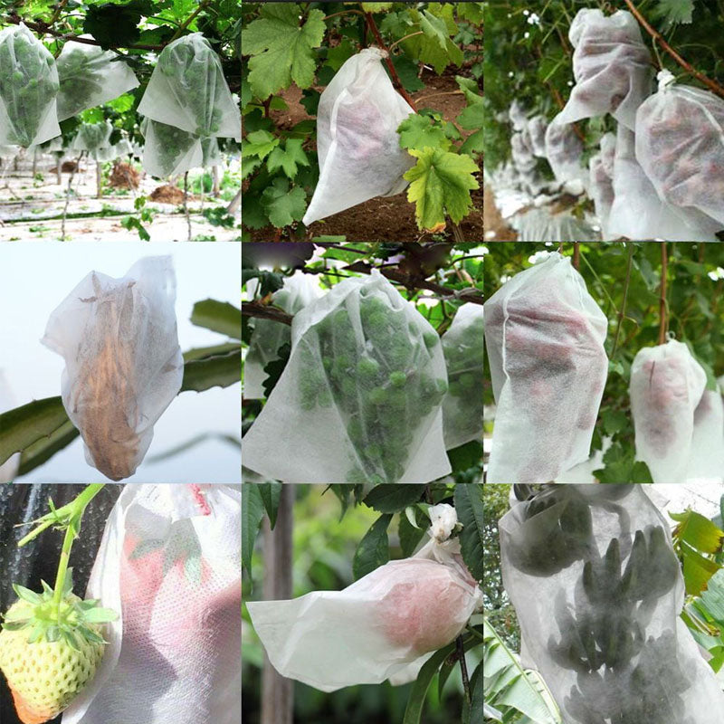 Protective Mesh Cover for Fruit Trees50% OFF