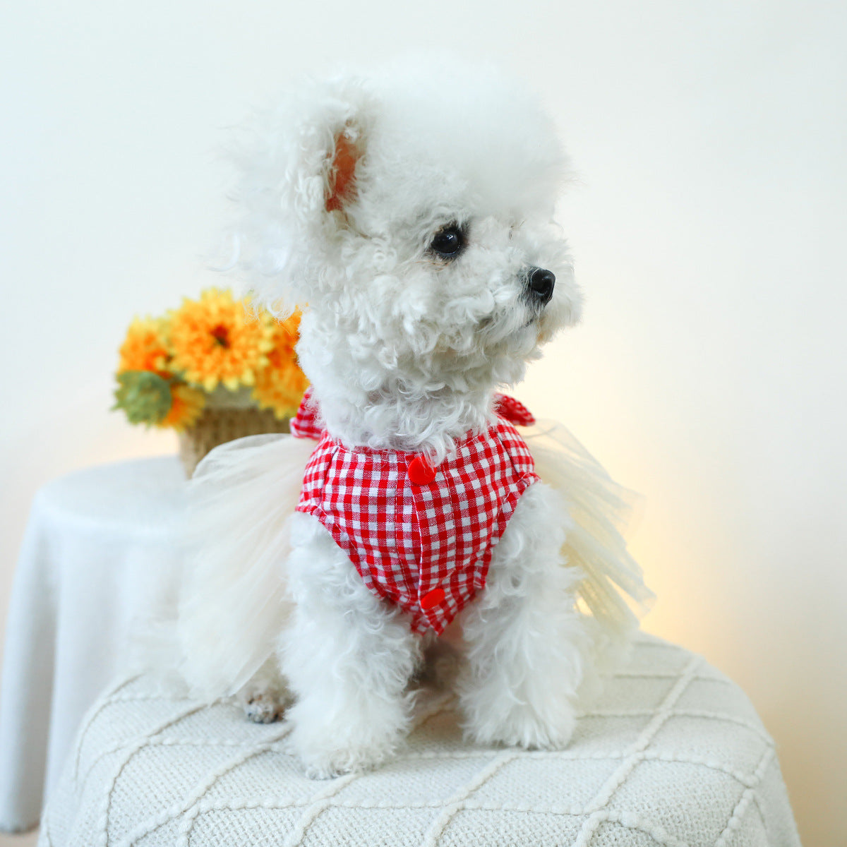 Heart Plaid Bow Dog Lace Dress
