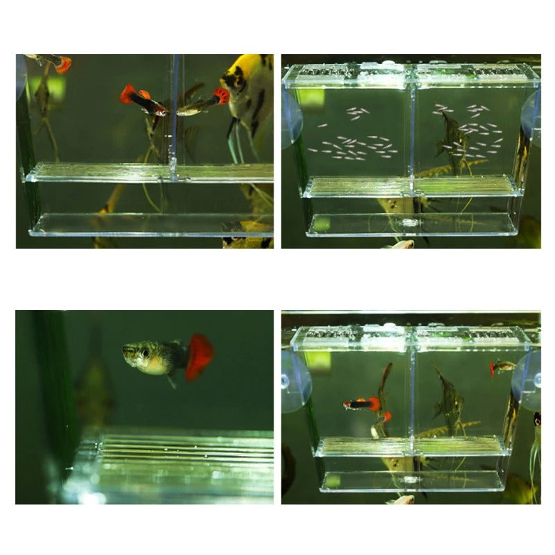 Aquarium Incubator Breeding Box