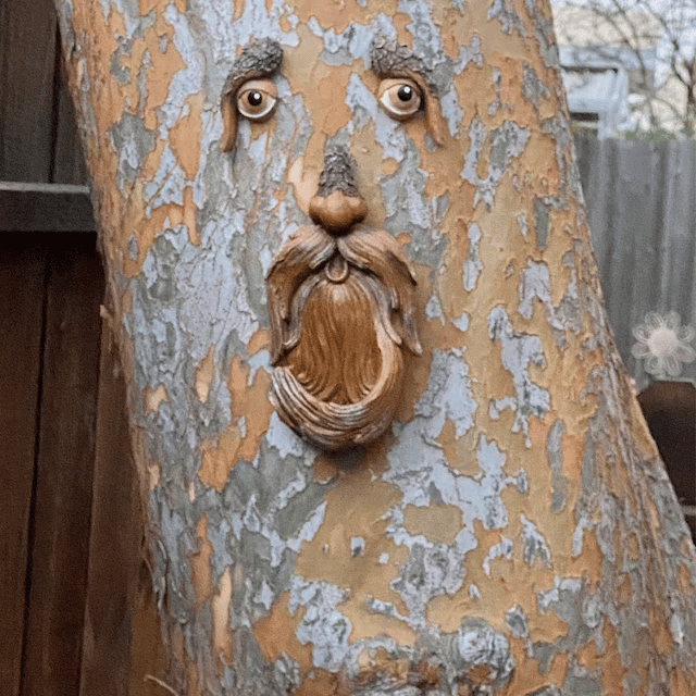 Hot Sale 49% OFF🌳Unique Bird Feeders for Outdoors-Old Man Tree Art