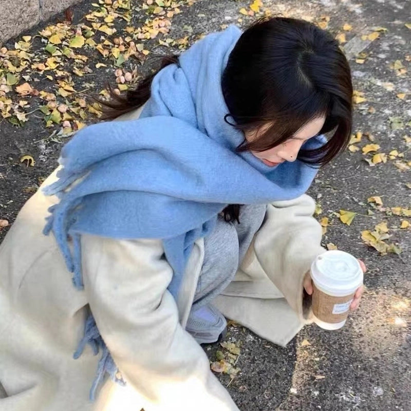 Women's Minimalist Classic Style Solid Color Imitation Cashmere Scarf