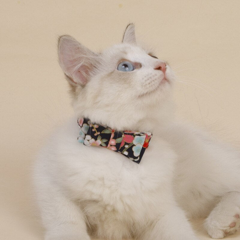 Cat Collar With Flowers
