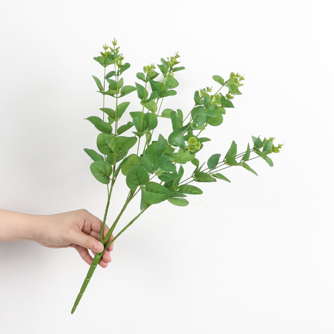 Eucalyptus Leaves
