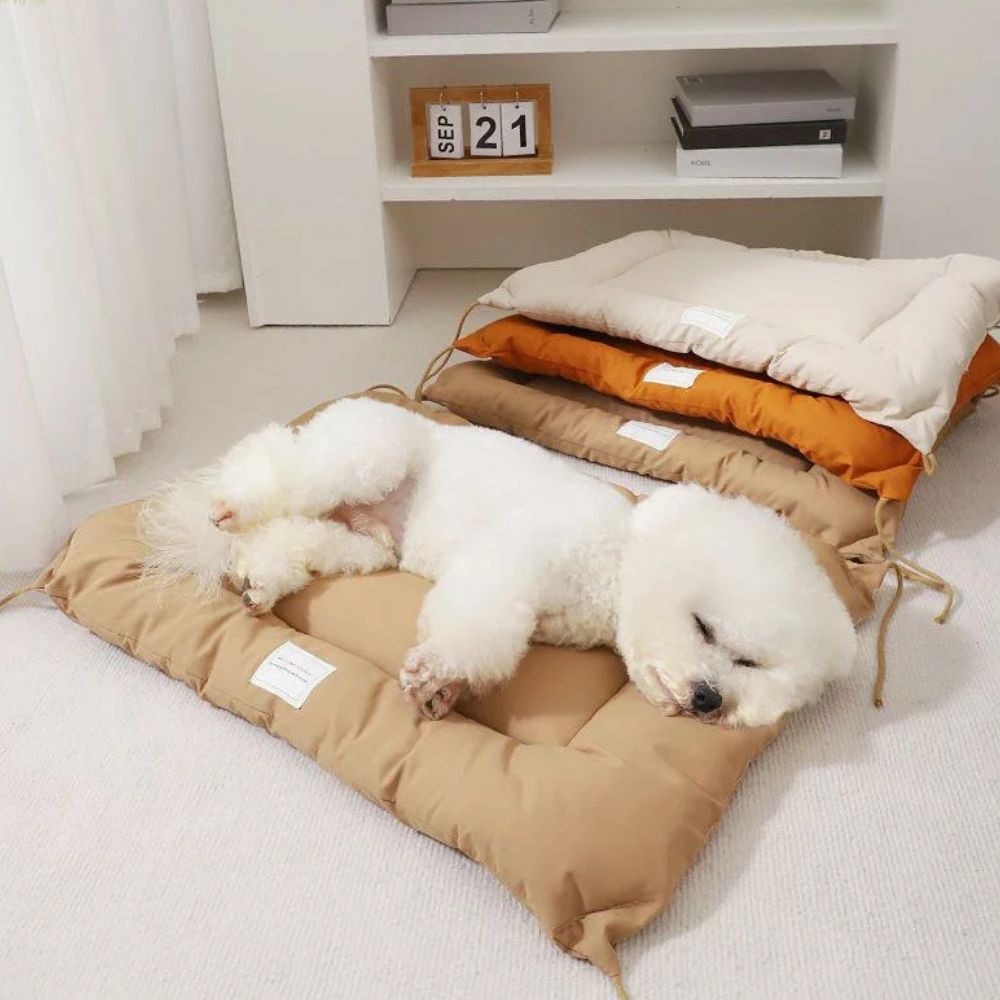 Pet Mat