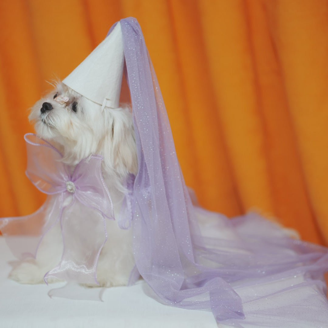 Party Lace Dog Cat Necklace&Hat Set