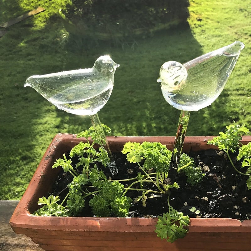 (🔥 Promotion-SAVE 49% OFF) Self-Watering Plant Glass Bulbs