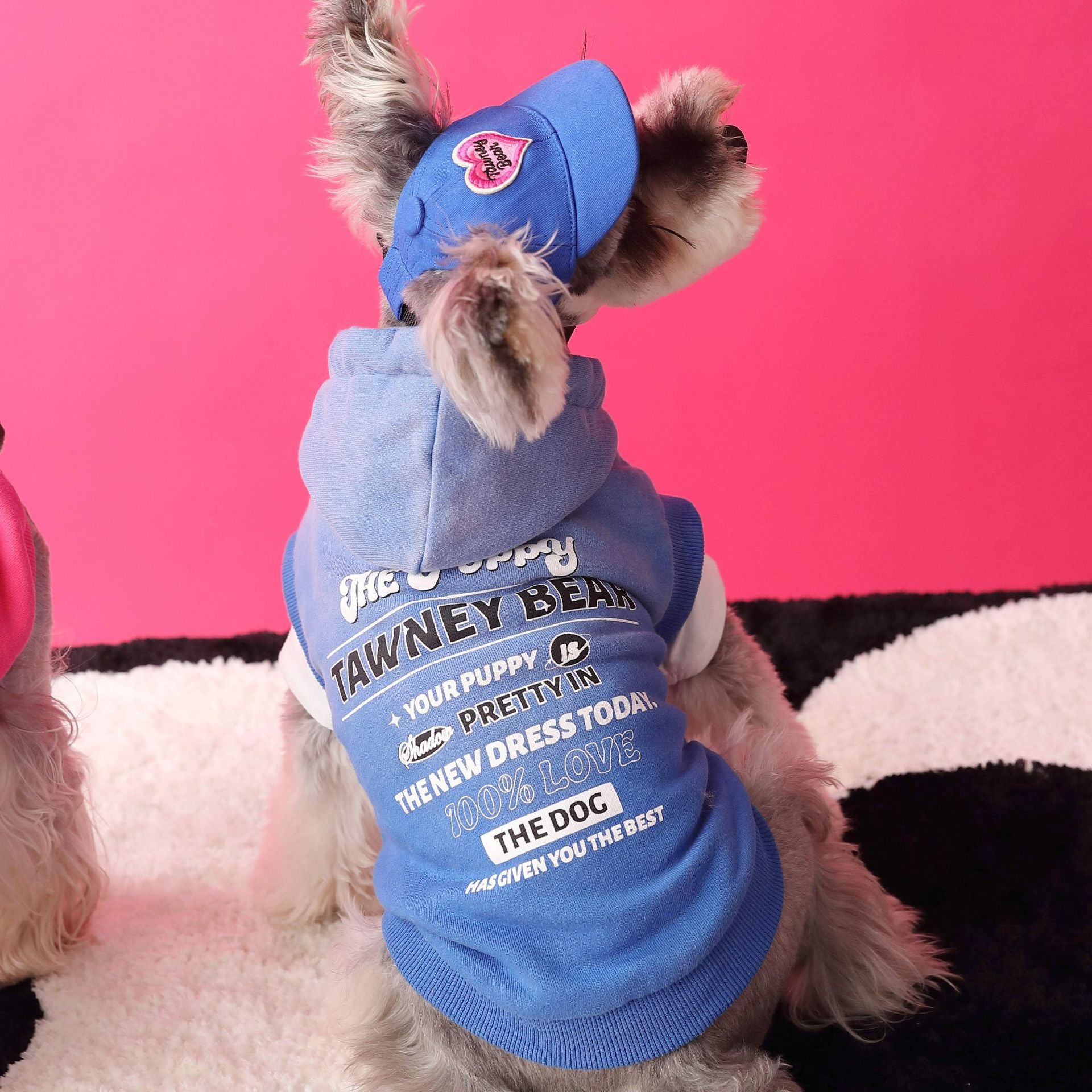 Letter Printed Dog Cat Short Sleeves Hoodie