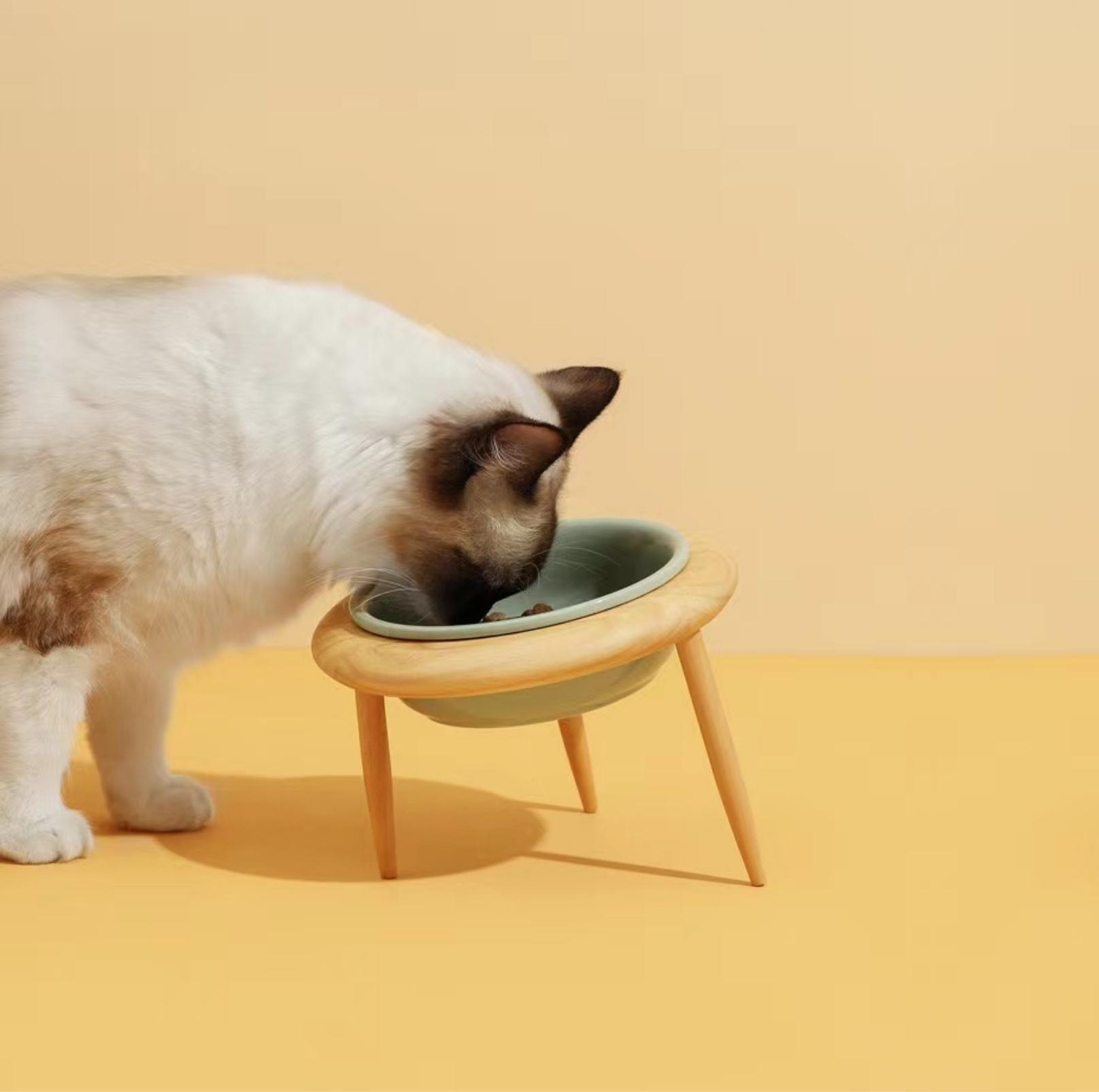 Ceramic Height Adjustable Pet Bowl with Wooden Stand | Small Dog and Cat Bowls