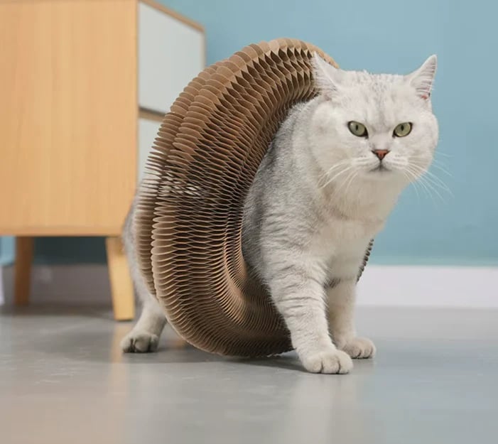 Tail&Paws Cat Harmony Scratch & Play