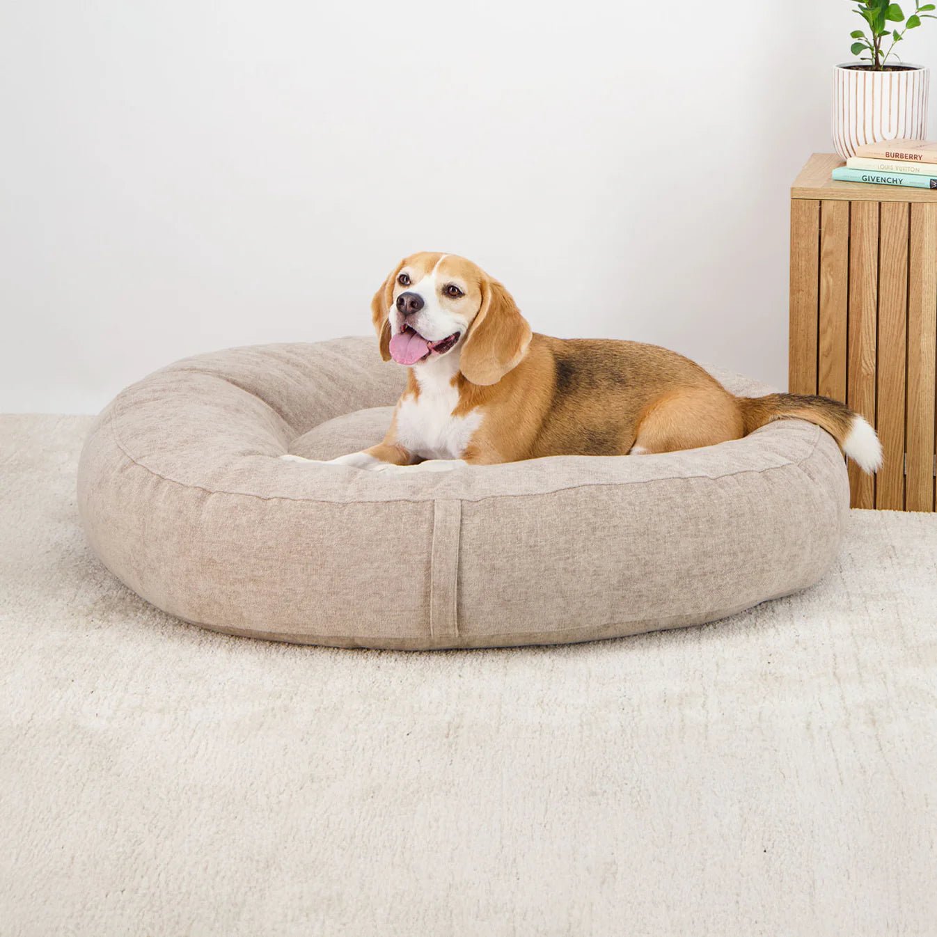 Dream Cloud Dog Bed - Sand