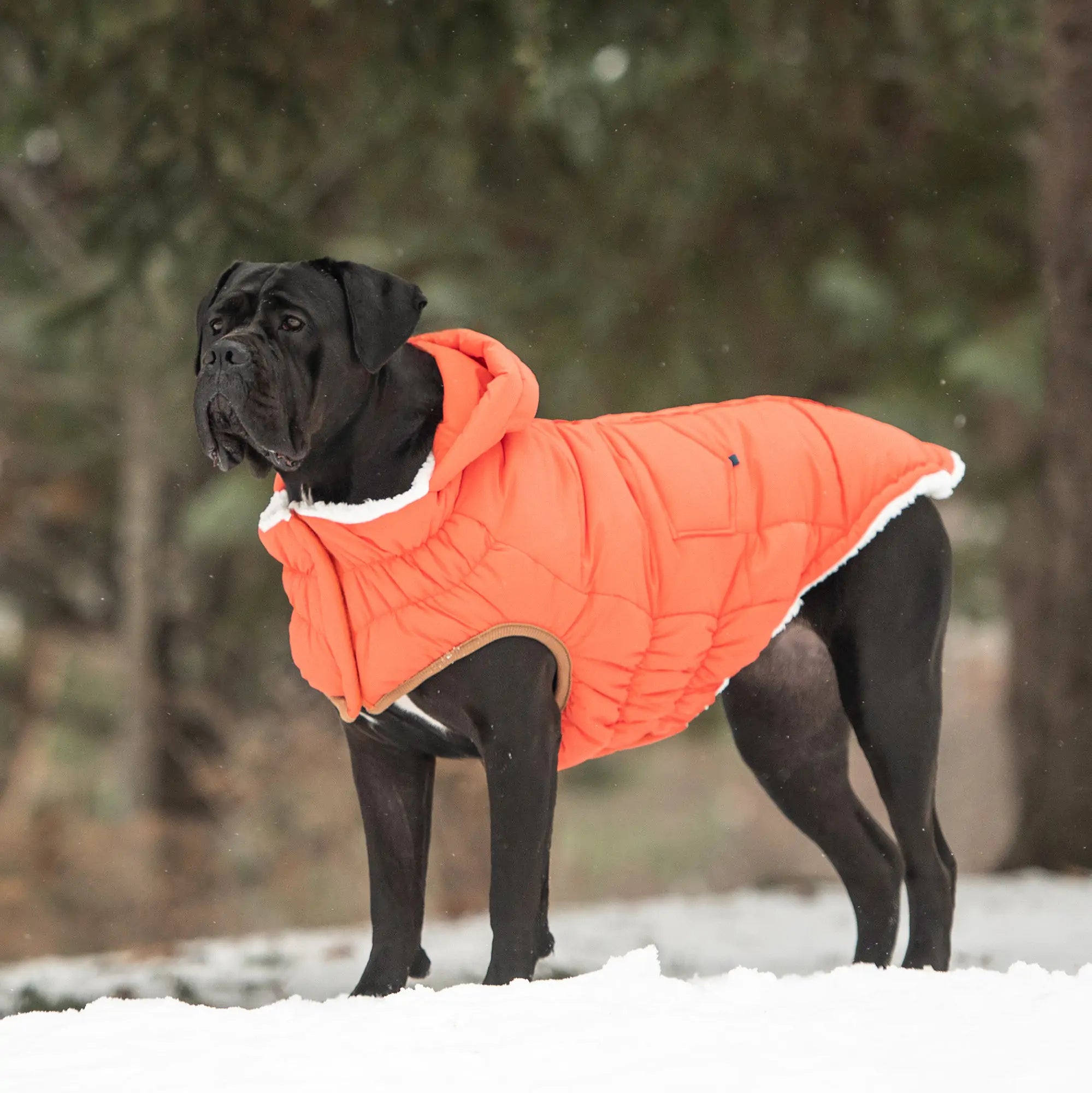 VividWarm Orange Parka