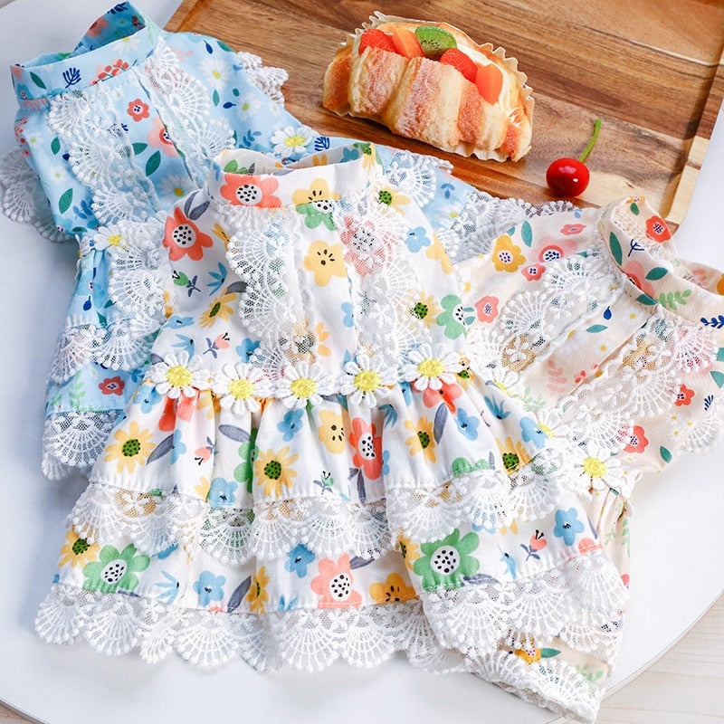 Floral Lace Design Dog Cat Dress