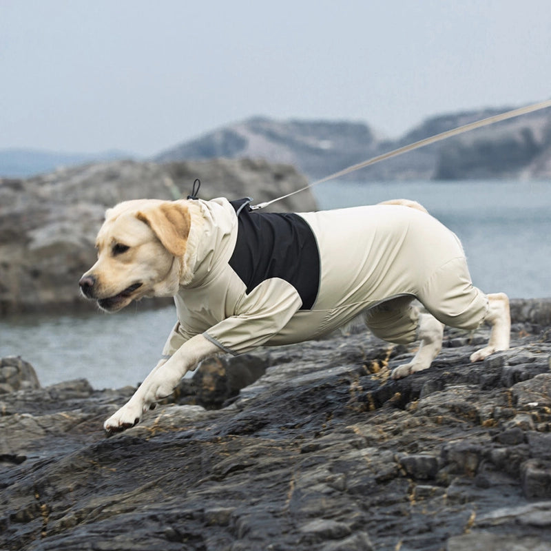 Medium And Large Dog Labrador Golden Retriever Chai Dog Four-legged Waterproof Pet Dog Dog Raincoat Charge Clothes