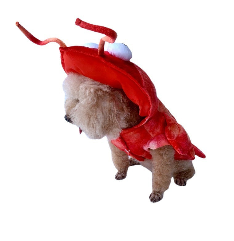 Lobster Pet Costume - Cat & Dog Outfit for Fun Makeovers