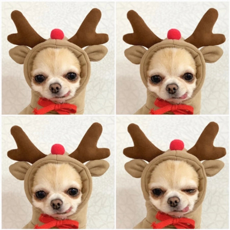 Puppy Dog Autumn And Winter Small And Medium-sized Dog Love Two-legged Cat Cute Pet Clothes Supplies