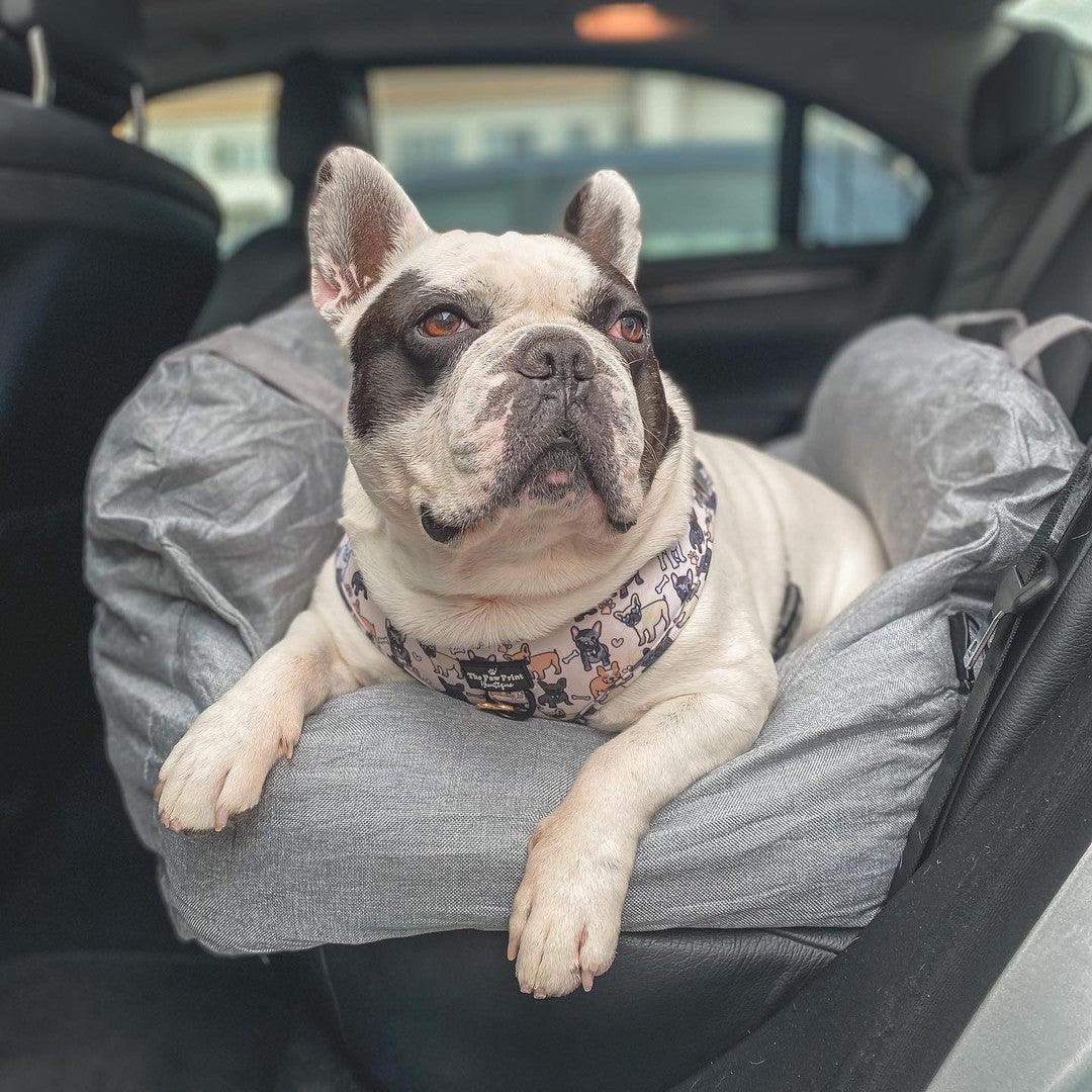JetPaws Portable Dog Bed
